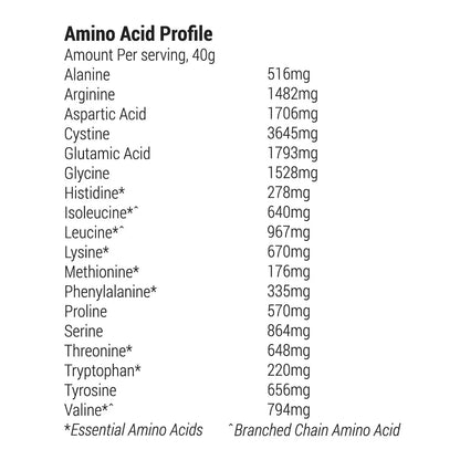 Organic Plant Protein Powder 有機植物蛋白粉 – Original 原味 | 400g